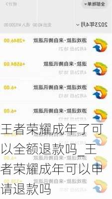 王者荣耀成年了可以全额退款吗_王者荣耀成年可以申请退款吗