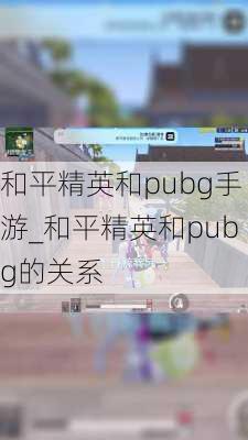 和平精英和pubg手游_和平精英和pubg的关系