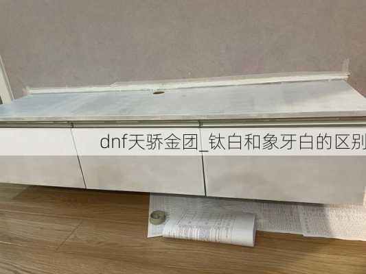 dnf天骄金团_钛白和象牙白的区别