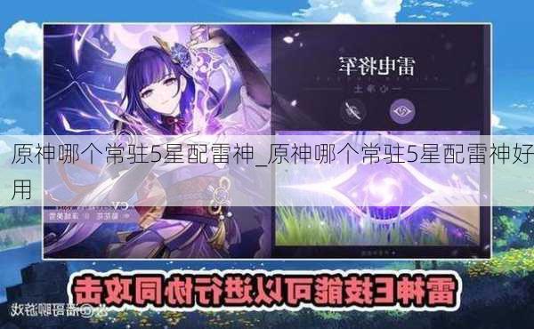 原神哪个常驻5星配雷神_原神哪个常驻5星配雷神好用