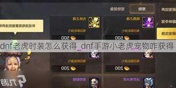 dnf老虎时装怎么获得_dnf手游小老虎宠物咋获得