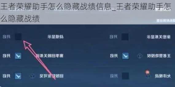 王者荣耀助手怎么隐藏战绩信息_王者荣耀助手怎么隐藏战绩