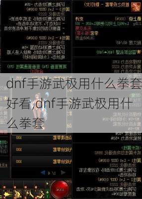 dnf手游武极用什么拳套好看,dnf手游武极用什么拳套