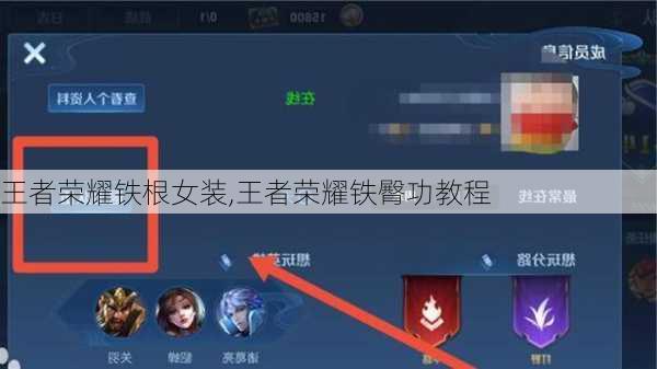王者荣耀铁根女装,王者荣耀铁臀功教程