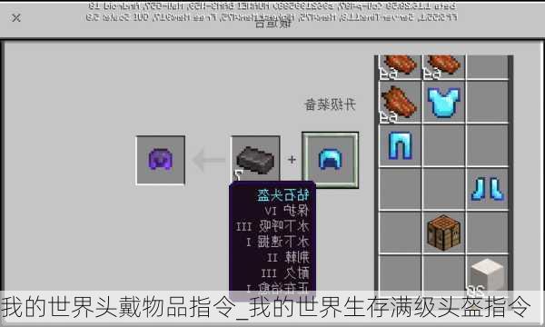 我的世界头戴物品指令_我的世界生存满级头盔指令