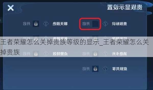 王者荣耀怎么关掉贵族等级的显示_王者荣耀怎么关掉贵族