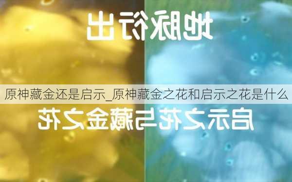 原神藏金还是启示_原神藏金之花和启示之花是什么