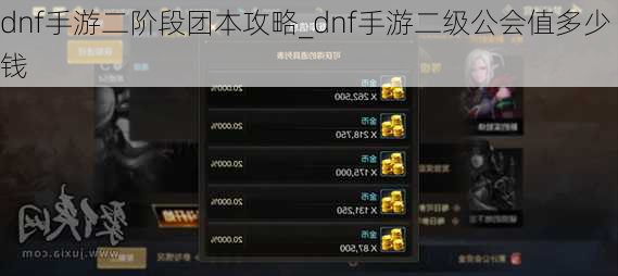 dnf手游二阶段团本攻略_dnf手游二级公会值多少钱