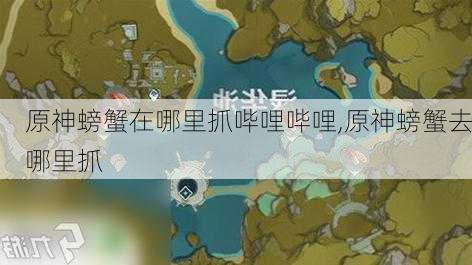 原神螃蟹在哪里抓哔哩哔哩,原神螃蟹去哪里抓