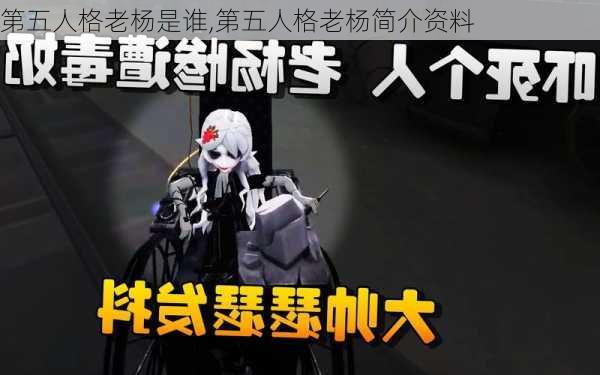 第五人格老杨是谁,第五人格老杨简介资料