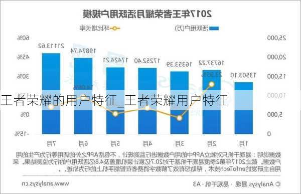 王者荣耀的用户特征_王者荣耀用户特征