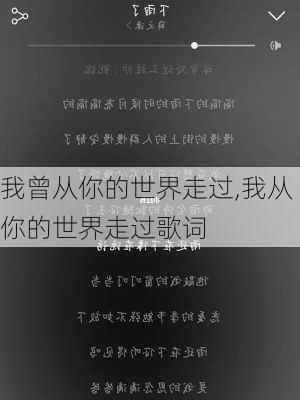 我曾从你的世界走过,我从你的世界走过歌词