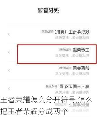 王者荣耀怎么分开符号,怎么把王者荣耀分成两个