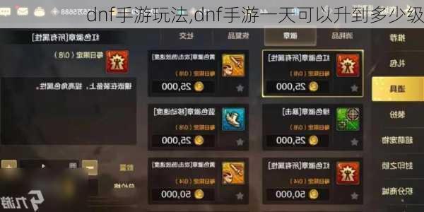 dnf手游玩法,dnf手游一天可以升到多少级