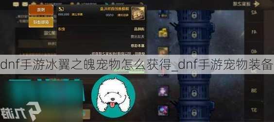 dnf手游冰翼之魄宠物怎么获得_dnf手游宠物装备