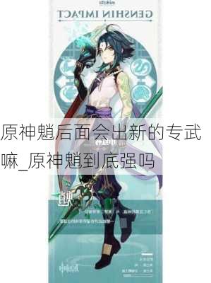 原神魈后面会出新的专武嘛_原神魈到底强吗