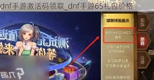 dnf手游激活码领取_dnf手游65礼包价格