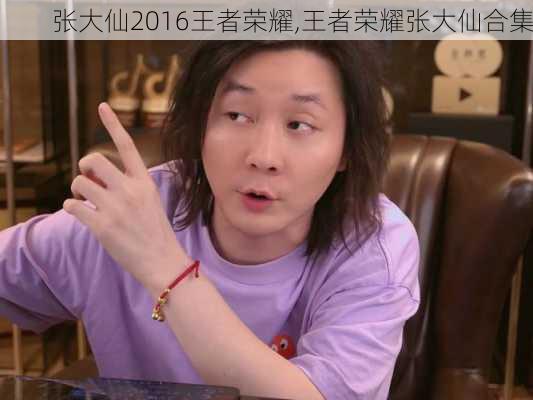 张大仙2016王者荣耀,王者荣耀张大仙合集