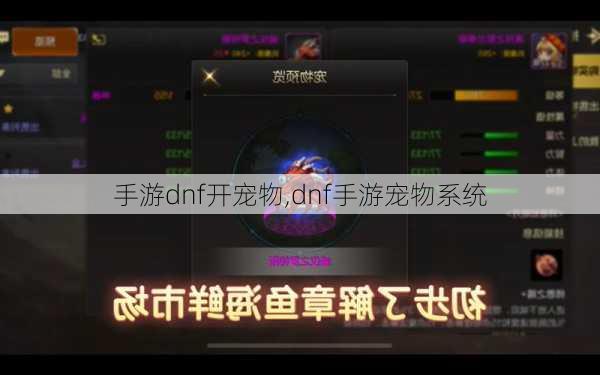 手游dnf开宠物,dnf手游宠物系统