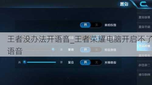 王者没办法开语音_王者荣耀电脑开启不了语音