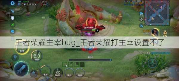 王者荣耀主宰bug_王者荣耀打主宰设置不了