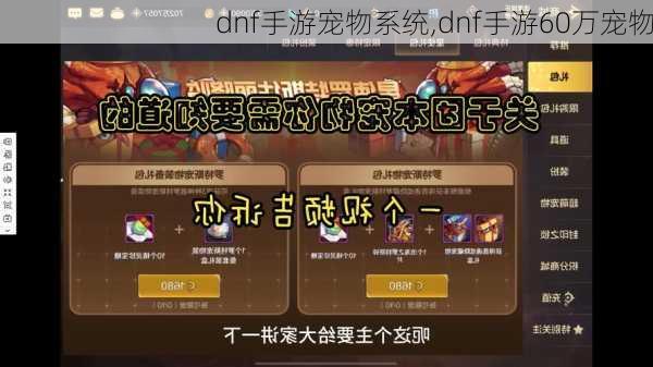 dnf手游宠物系统,dnf手游60万宠物