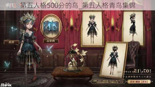 第五人格500分的鸟_第五人格青鸟集锦