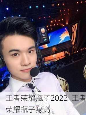 王者荣耀瓶子2022_王者荣耀瓶子身高