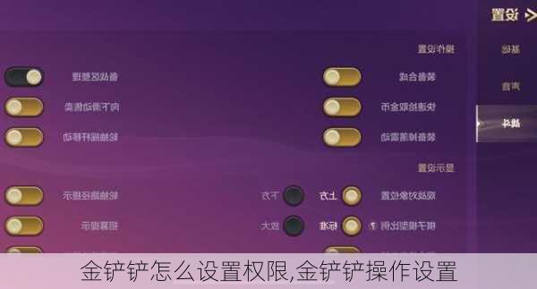 金铲铲怎么设置权限,金铲铲操作设置