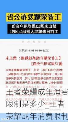 王者荣耀成年消费限制是多少_王者荣耀成年消费限制