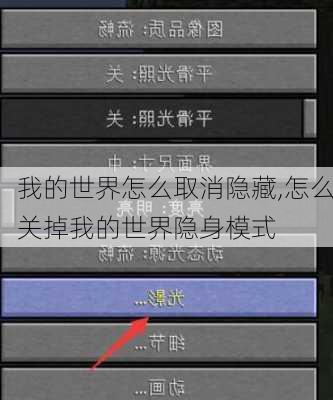 我的世界怎么取消隐藏,怎么关掉我的世界隐身模式