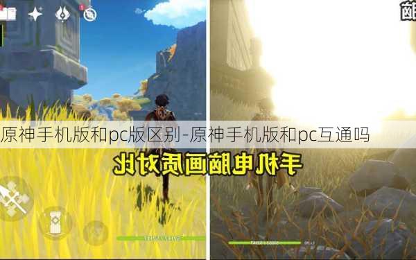 原神手机版和pc版区别-原神手机版和pc互通吗