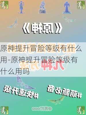 原神提升冒险等级有什么用-原神提升冒险等级有什么用吗