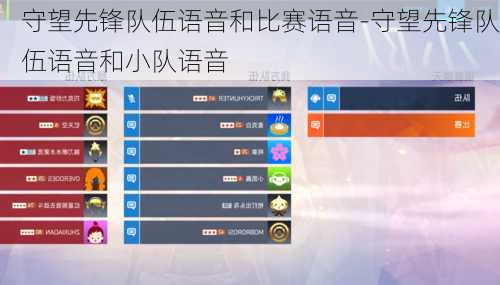 守望先锋队伍语音和比赛语音-守望先锋队伍语音和小队语音