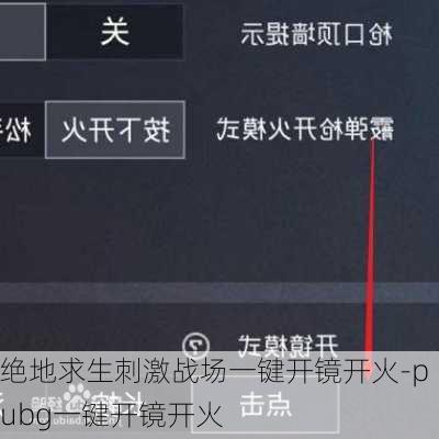 绝地求生刺激战场一键开镜开火-pubg一键开镜开火