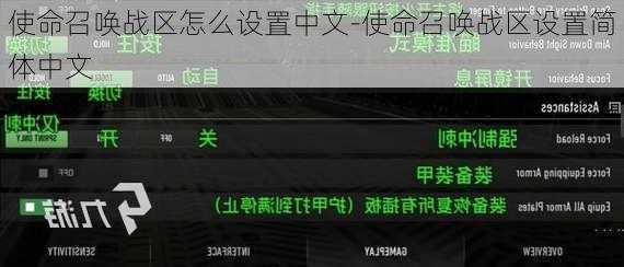 使命召唤战区怎么设置中文-使命召唤战区设置简体中文