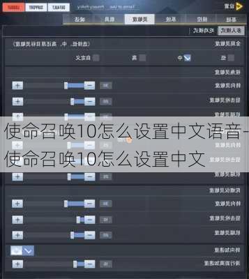 使命召唤10怎么设置中文语音-使命召唤10怎么设置中文