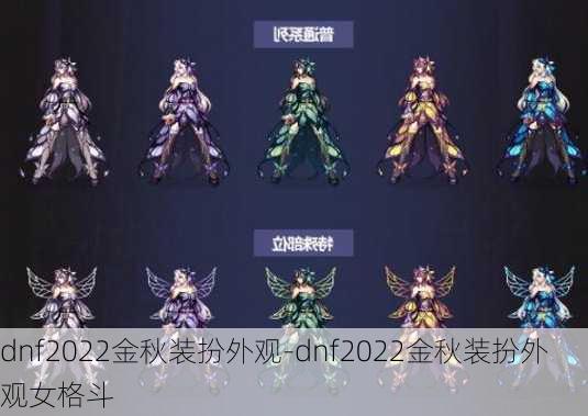 dnf2022金秋装扮外观-dnf2022金秋装扮外观女格斗