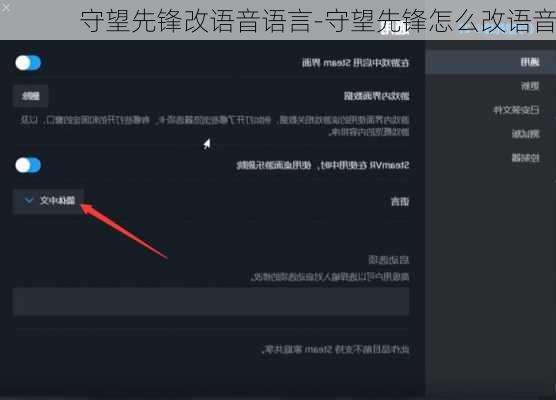 守望先锋改语音语言-守望先锋怎么改语音