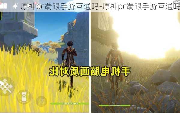 原神pc端跟手游互通吗-原神pc端跟手游互通吗