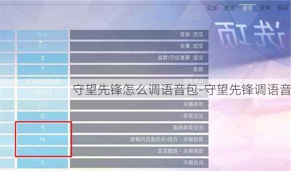 守望先锋怎么调语音包-守望先锋调语音
