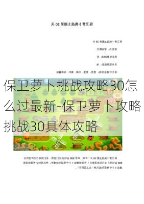 保卫萝卜挑战攻略30怎么过最新-保卫萝卜攻略挑战30具体攻略